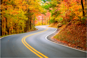 country road with colorful fall trees
