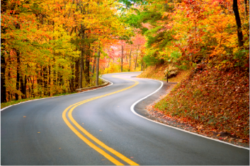 country road with colorful fall trees country road with colorful fall trees
